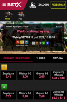 Zakłady na wyścigi wirtualne w BetX są bardzo zbliżone do prawdziwych gonitw koni i psów Aplikacja bukmacherska BetX - wyścigi wirtualne