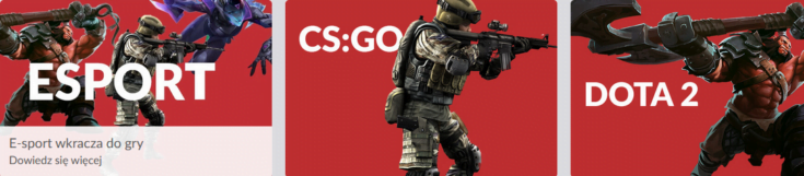 Oferta PZBuk na e-sport obejmuje zakłady bukmacherskie na wiele popularnych gier PZBuk - oferta na e-sport
