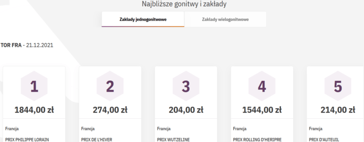 Traf - oferta na dziś i na jutro