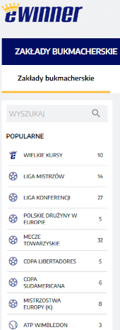 Dobra ocena strony www eWinner wynika z jej przejrzystości i intuicyjności eWinner - opinie o stronie internetowej