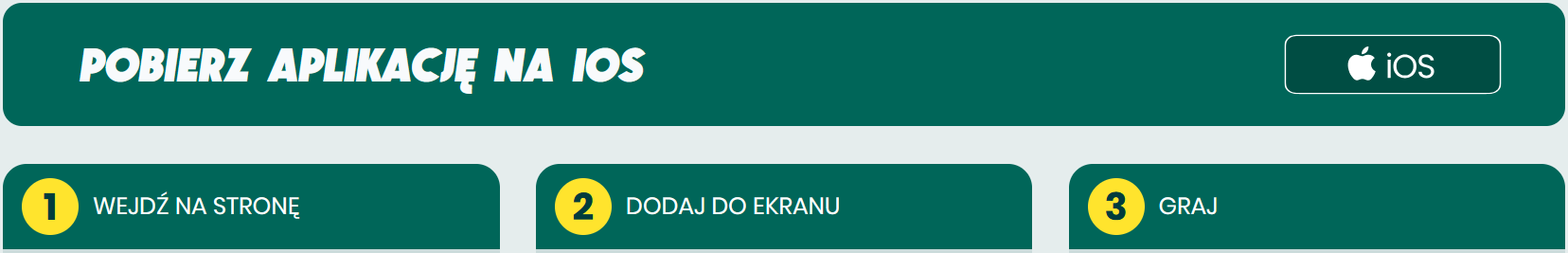 Aplikacja Betfan na urządzenia z systemem iOS to niestandardowe rozwiązanie Aplikacja Betfan - iOS